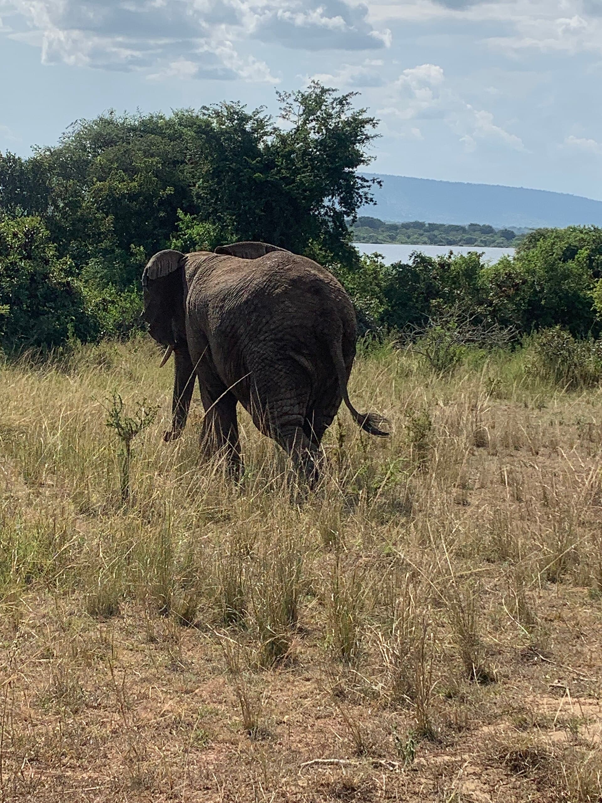 Akagera National Park, Rwanda
