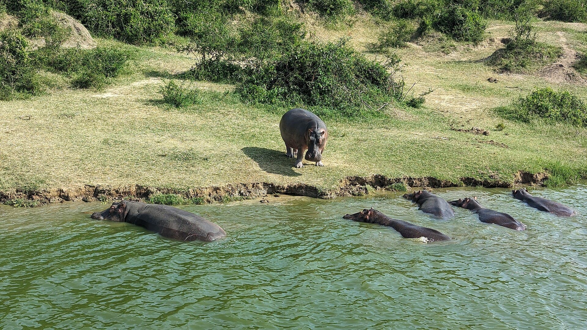 Kazinga Channel, Uganda