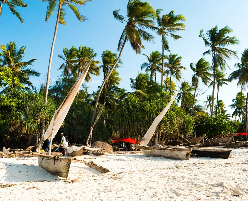 Safariman Expeditions - Diani & Lamu Destination